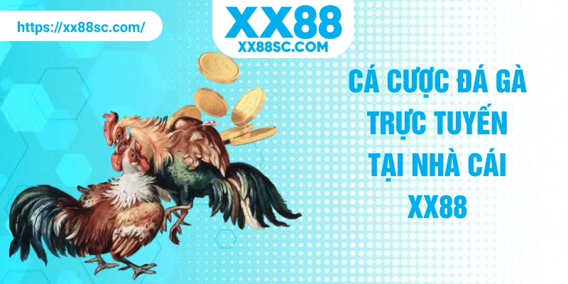 Cá cược đá gà trực tuyến tại nhà cái XX88