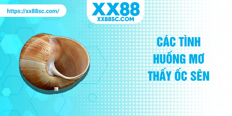 Các tình huống mơ thấy ốc sên