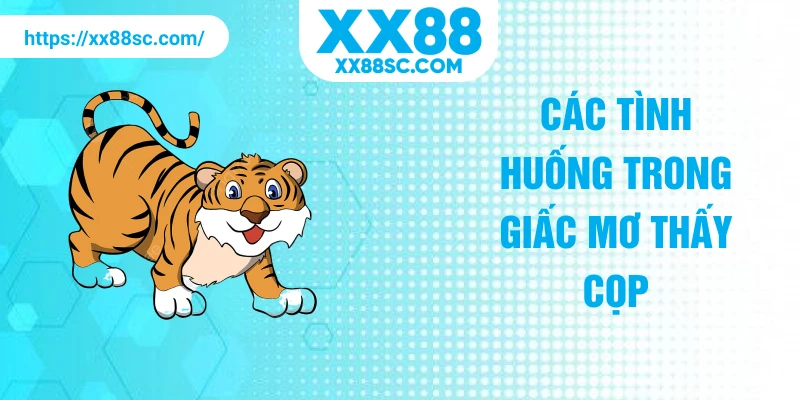 Các tình huống trong giấc mơ thấy cọp