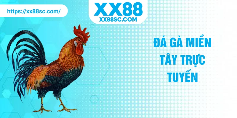 Đá gà miền Tây trực tuyến