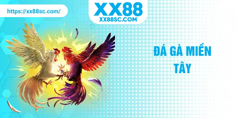 đá gà miền tây