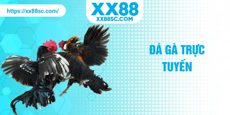 đá gà trực tuyến