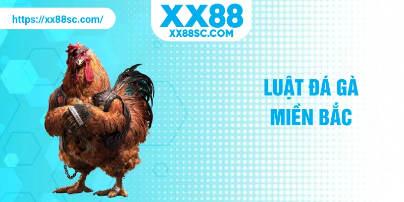 luật đá gà miền bắc