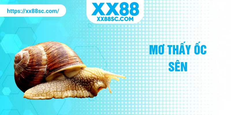 mơ thấy ốc sên