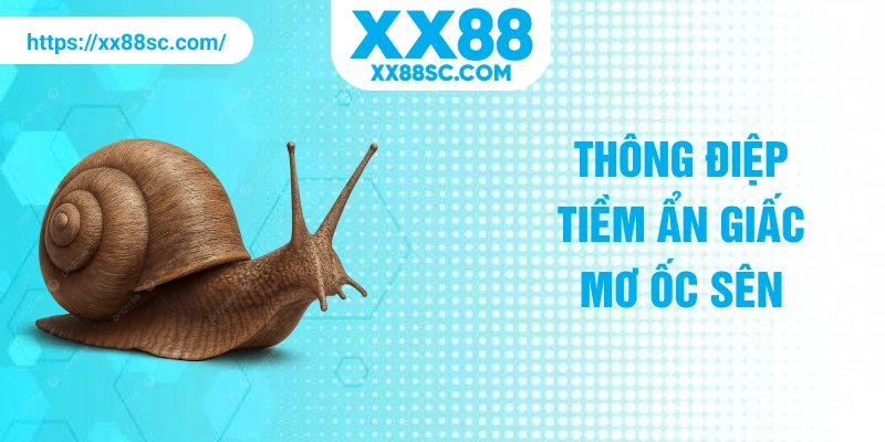 Thông điệp tiềm ẩn giấc mơ ốc sên