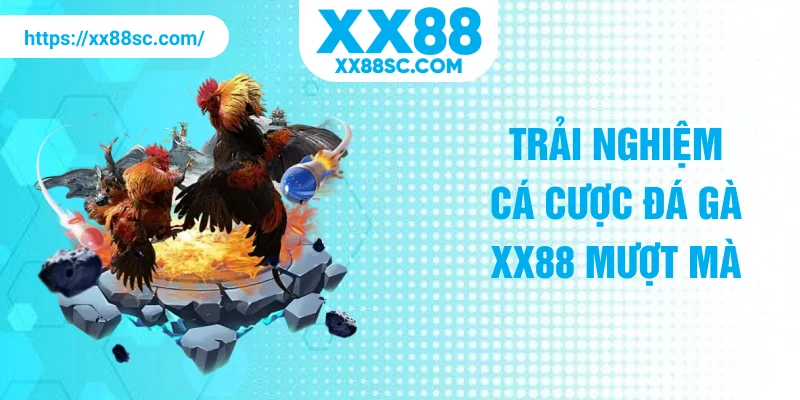 Trải nghiệm cá cược đá gà XX88 mượt mà